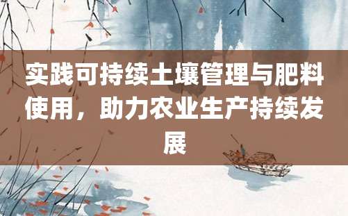 实践可持续土壤管理与肥料使用，助力农业生产持续发展