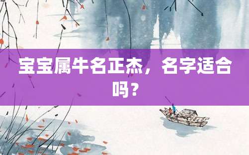 宝宝属牛名正杰，名字适合吗？