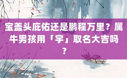 宝盖头庇佑还是鹏程万里？属牛男孩用「宇」取名大吉吗？