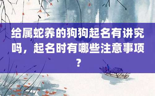 给属蛇养的狗狗起名有讲究吗，起名时有哪些注意事项？