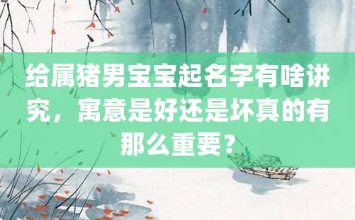 给属猪男宝宝起名字有啥讲究，寓意是好还是坏真的有那么重要？