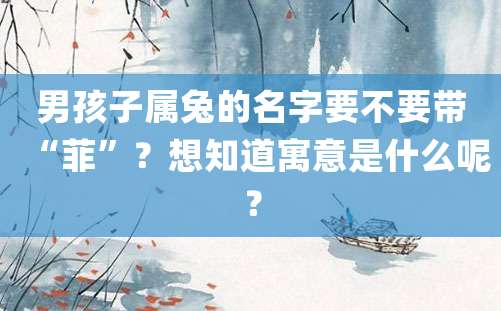 男孩子属兔的名字要不要带“菲”？想知道寓意是什么呢？