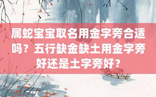 属蛇宝宝取名用金字旁合适吗？五行缺金缺土用金字旁好还是土字旁好？