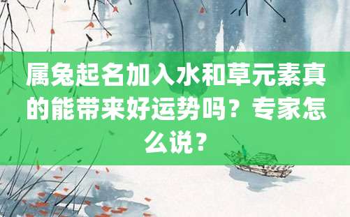 属兔起名加入水和草元素真的能带来好运势吗？专家怎么说？