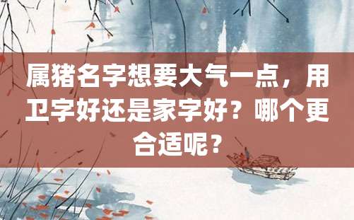 属猪名字想要大气一点，用卫字好还是家字好？哪个更合适呢？