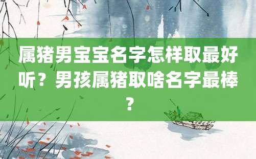 属猪男宝宝名字怎样取最好听？男孩属猪取啥名字最棒？