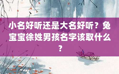 小名好听还是大名好听？兔宝宝徐姓男孩名字该取什么？