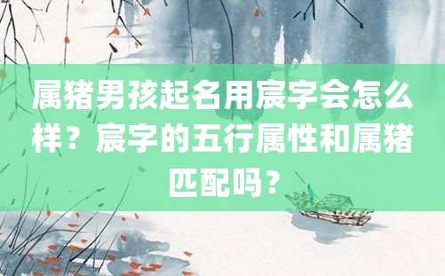 属猪男孩起名用宸字会怎么样？宸字的五行属性和属猪匹配吗？