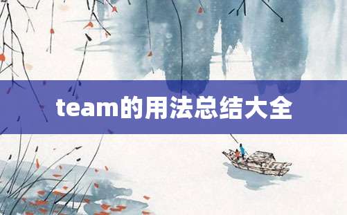 team的用法总结大全