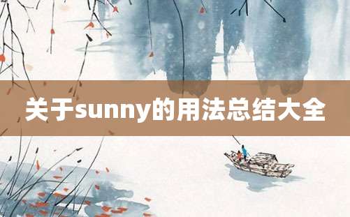 关于sunny的用法总结大全