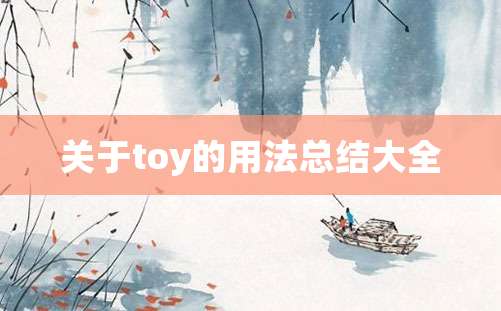 关于toy的用法总结大全