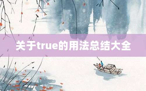 关于true的用法总结大全