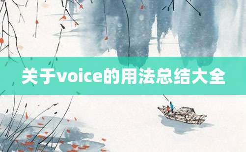 关于voice的用法总结大全