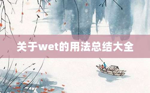 关于wet的用法总结大全