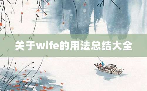 关于wife的用法总结大全