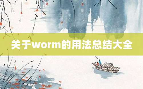 关于worm的用法总结大全