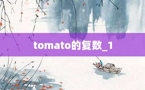 tomato的复数_1