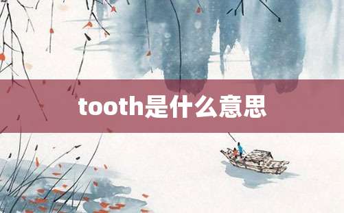 tooth是什么意思