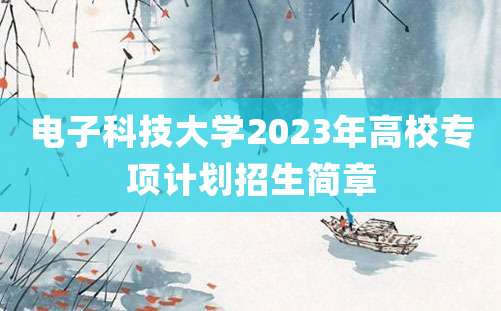 电子科技大学2023年高校专项计划招生简章