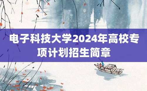 电子科技大学2024年高校专项计划招生简章