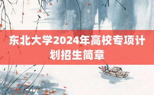 东北大学2024年高校专项计划招生简章