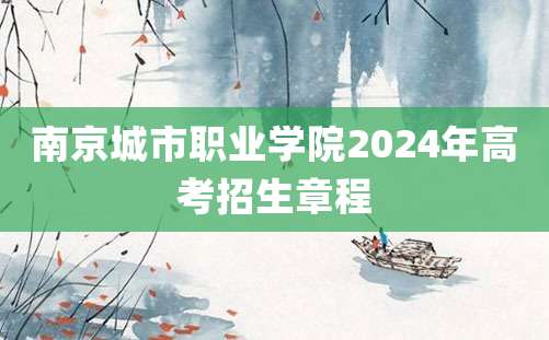 南京城市职业学院2024年高考招生章程