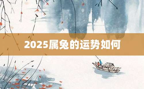 2025属兔的运势如何