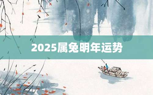 2025属兔明年运势