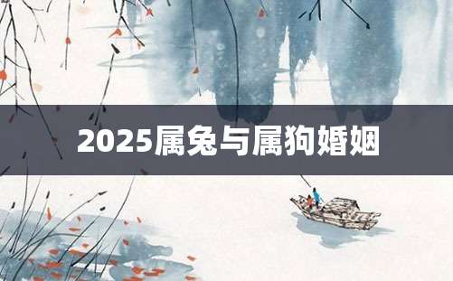 2025属兔与属狗婚姻