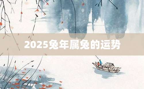 2025兔年属兔的运势