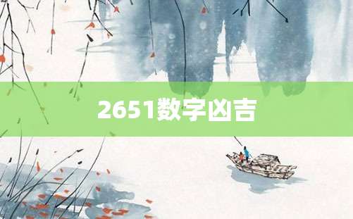 2651数字凶吉