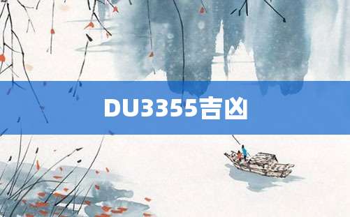 DU3355吉凶