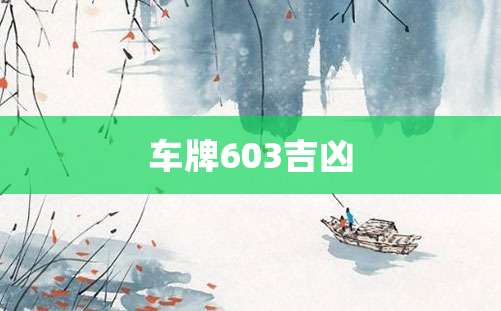 车牌603吉凶