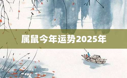 属鼠今年运势2025年