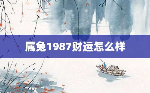 属兔1987财运怎么样