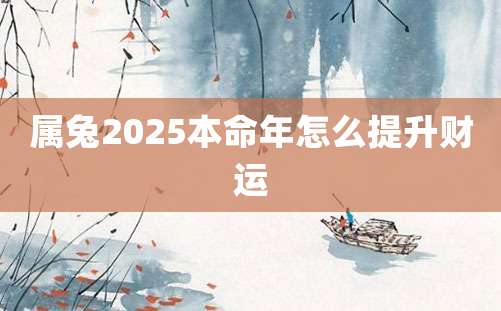 属兔2025本命年怎么提升财运