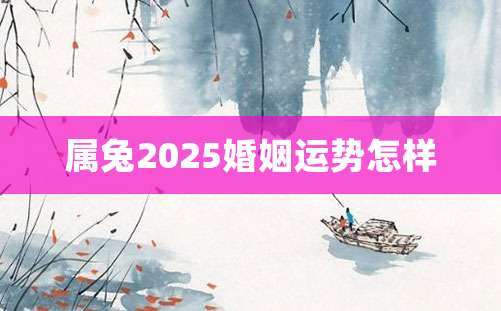 属兔2025婚姻运势怎样