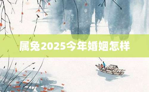 属兔2025今年婚姻怎样