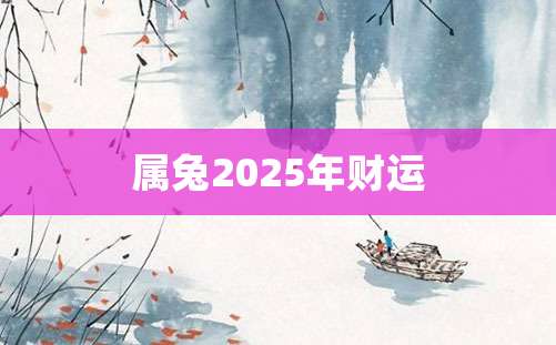 属兔2025年财运