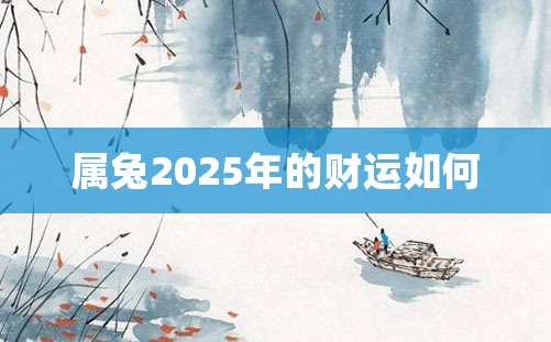 属兔2025年的财运如何