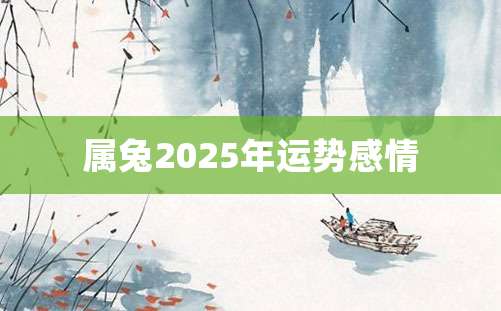 属兔2025年运势感情