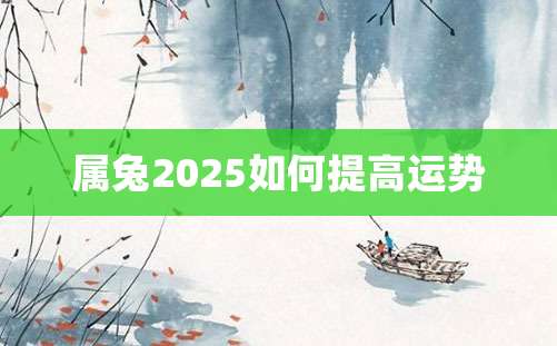 属兔2025如何提高运势