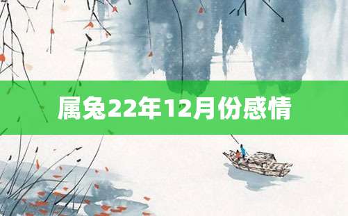 属兔22年12月份感情