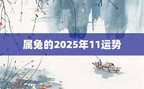 属兔的2025年11运势