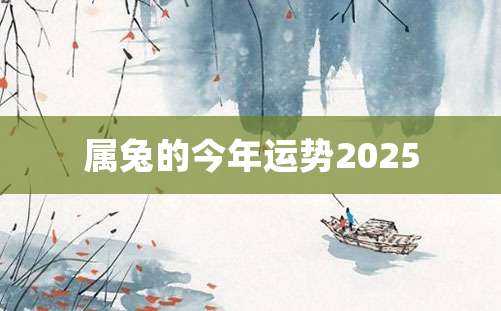 属兔的今年运势2025