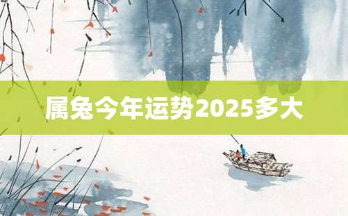 属兔今年运势2025多大