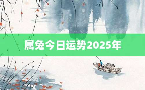 属兔今日运势2025年