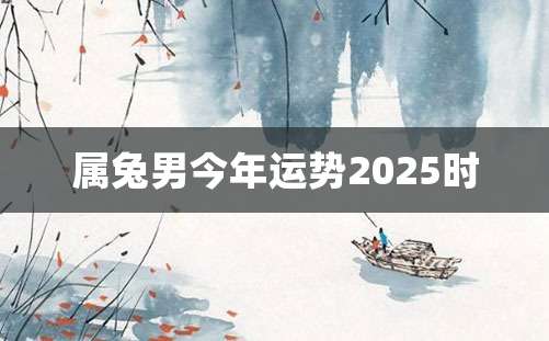 属兔男今年运势2025时