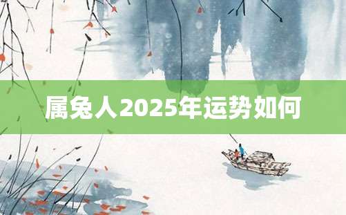 属兔人2025年运势如何