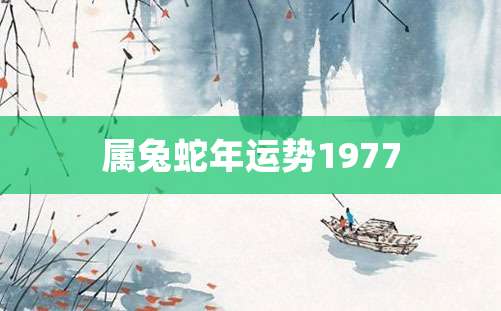 属兔蛇年运势1977